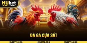 Đá gà cựa sắt