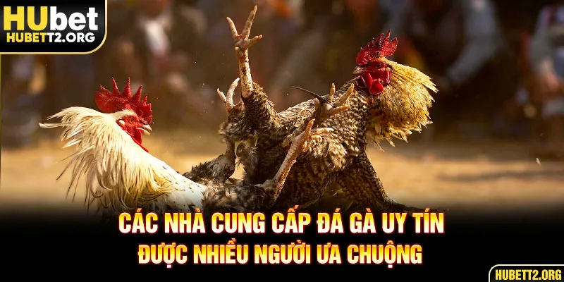 Các nhà cung cấp game uy tín được nhiều người ưa chuộng 