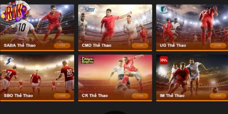 Cược thể thao tại RIKVIP được bet thủ vô cùng yêu thích.